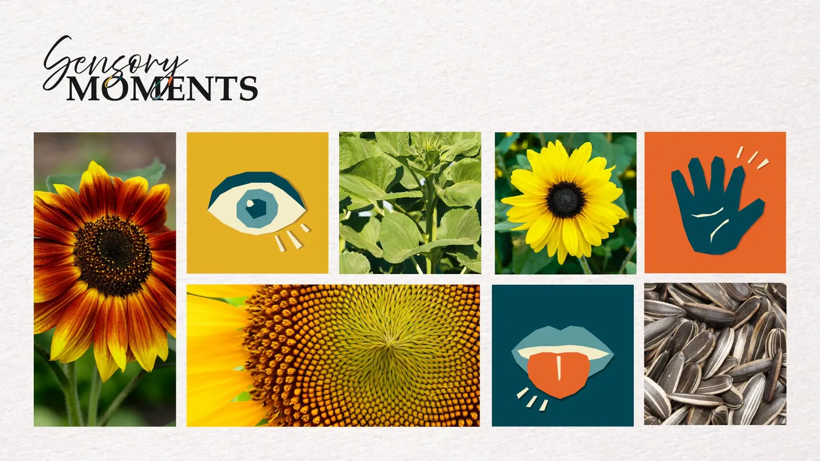 Sensory Moments – Sunflower Surprise